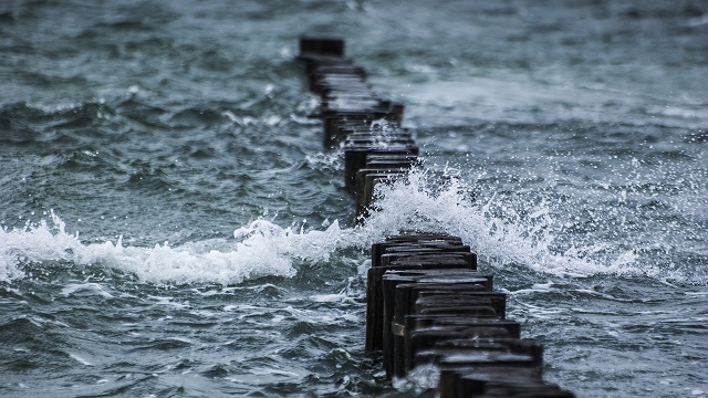 Structure of the Marine Data Access at the European Level